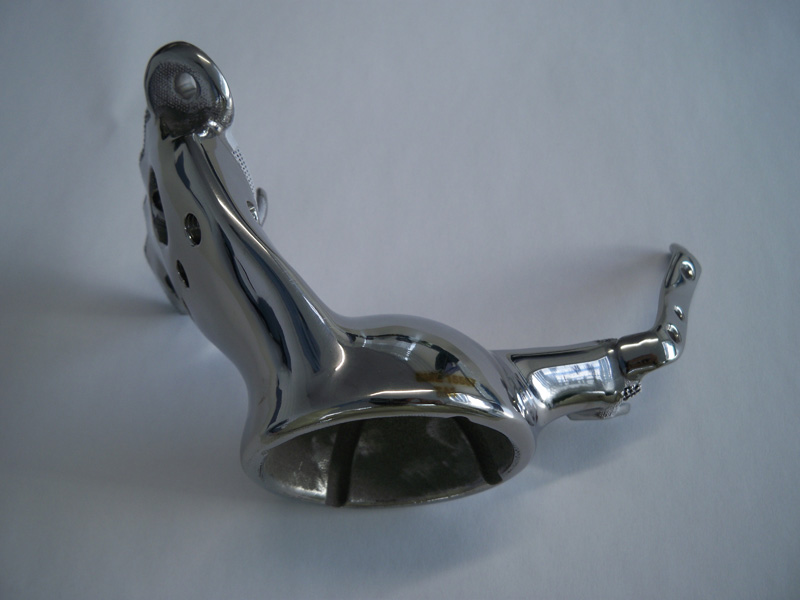 Fig 7. Finished implant, lateral view